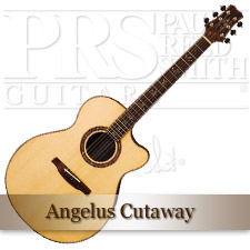 PRS Angelus Cutaway