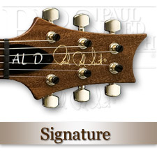 PRS Product Electric Guitars Signature